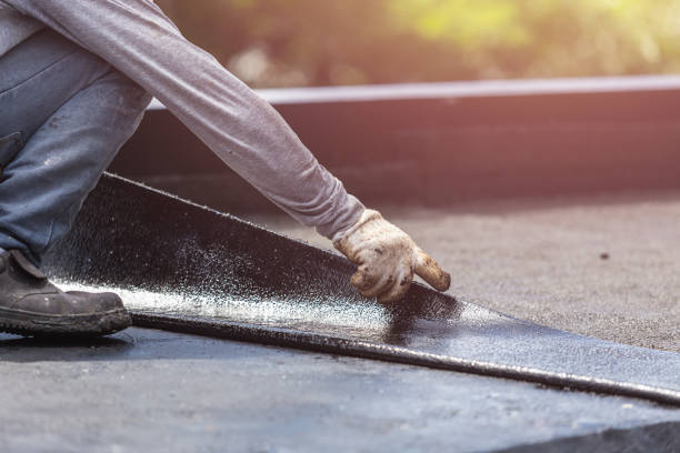 Professional Interior Drainage System technician working in Elmwood, IL